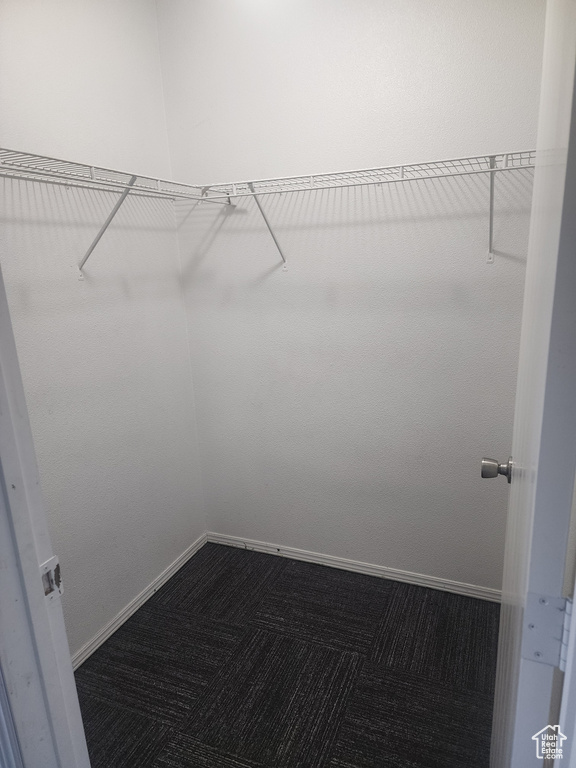 Walk in closet with dark colored carpet