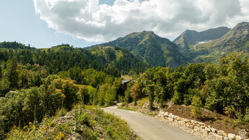 Property view of mountains