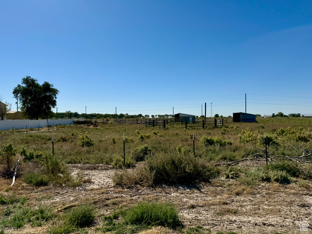 View of local wilderness with a rural view