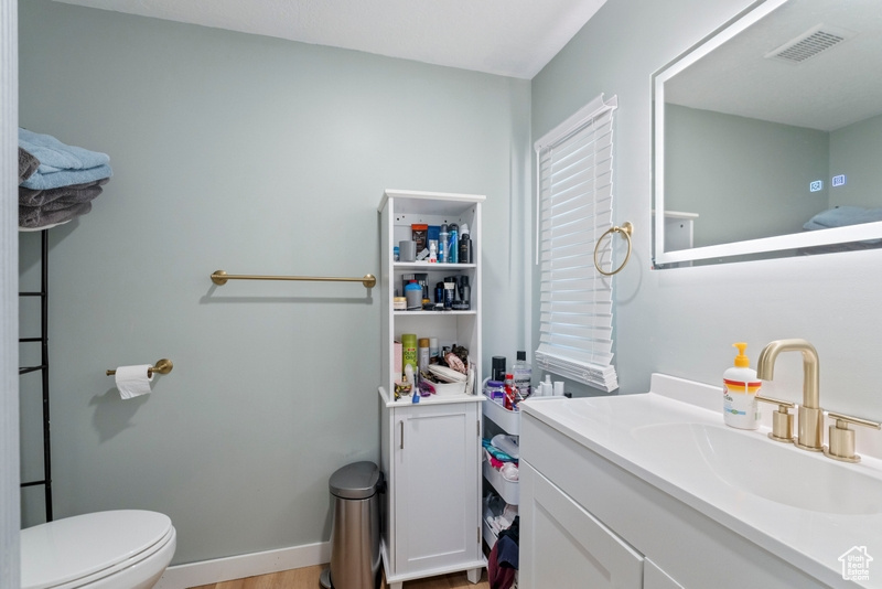 Bathroom featuring wood-type flooring, vanity, and toilet