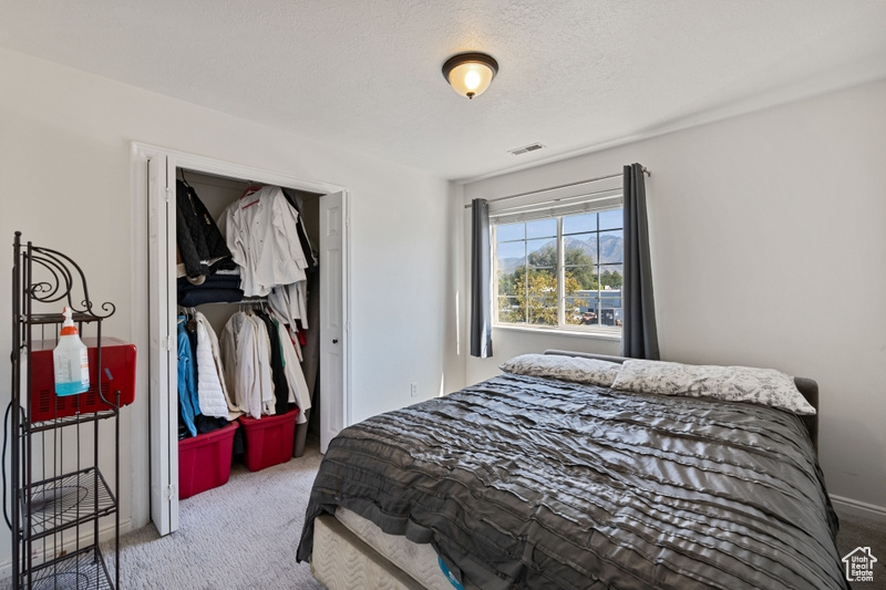 Carpeted bedroom with a closet and a textured ceiling