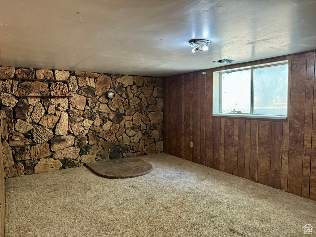 Basement with wooden walls and carpet