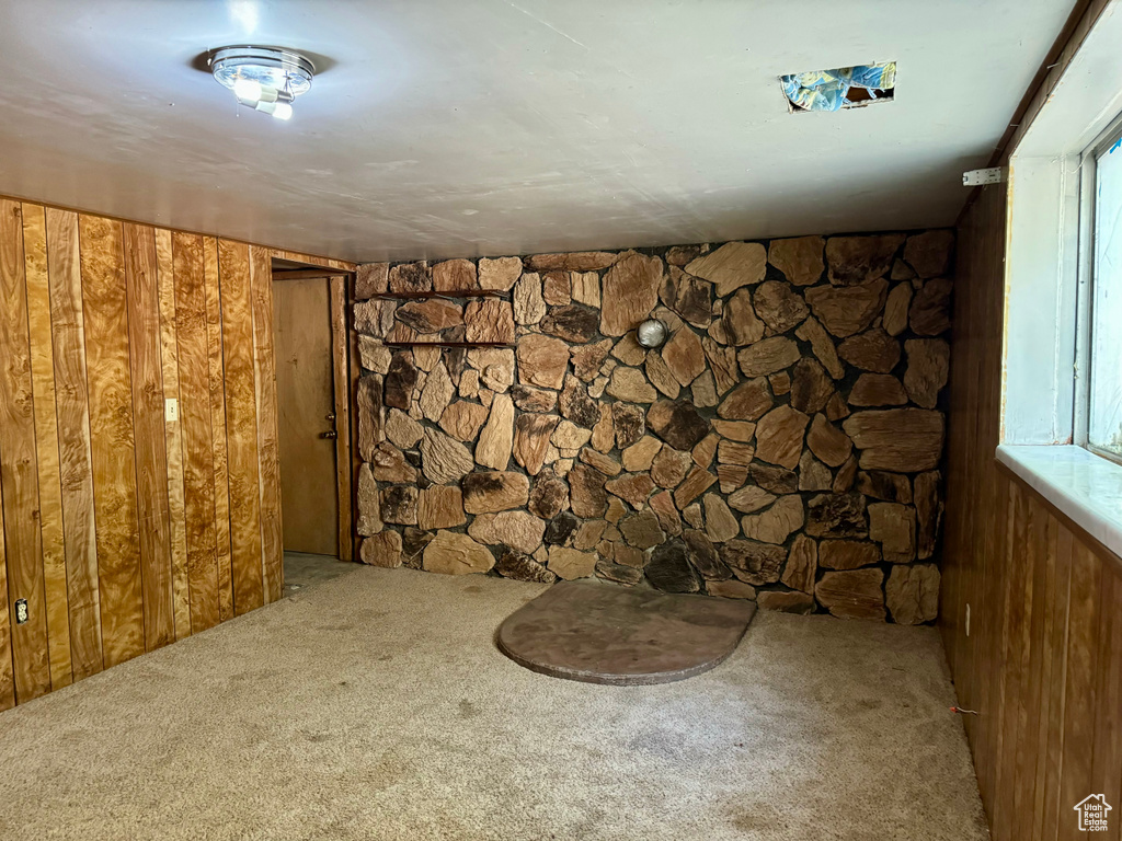 Basement featuring carpet and wood walls