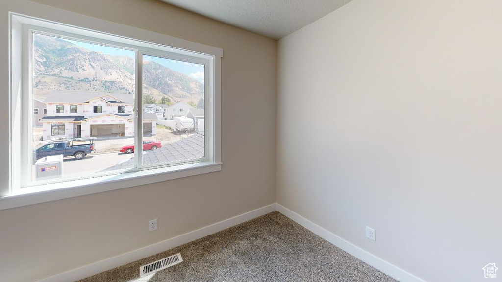 Unfurnished room with a mountain view, a textured ceiling, and carpet