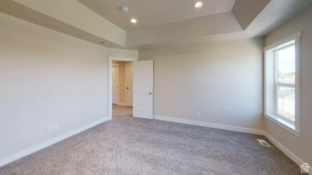 Carpeted empty room featuring a healthy amount of sunlight and a raised ceiling