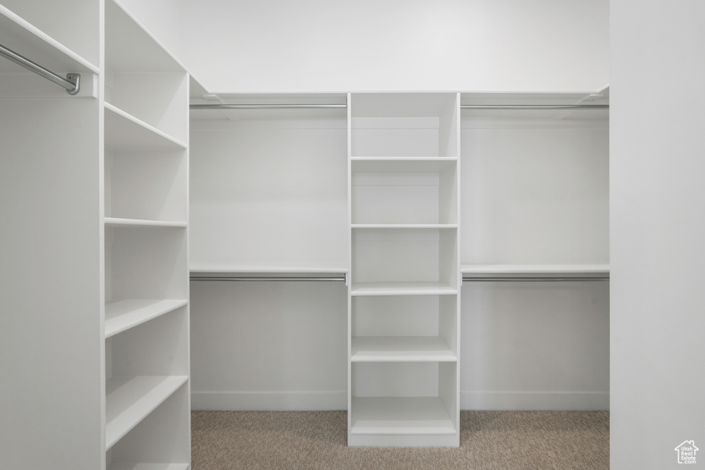 Walk in closet featuring light carpet