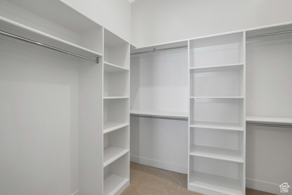 Spacious closet with light carpet