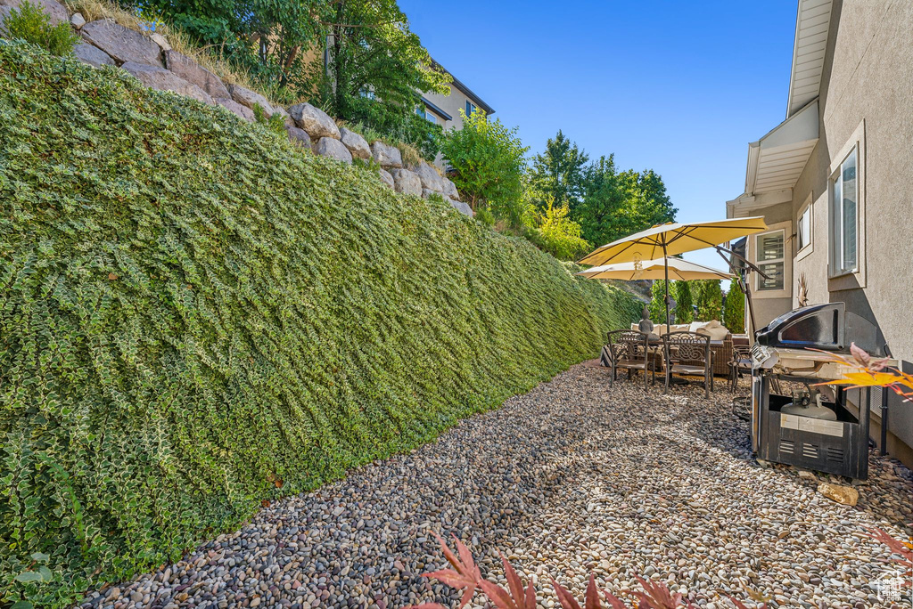 View of yard with a patio area