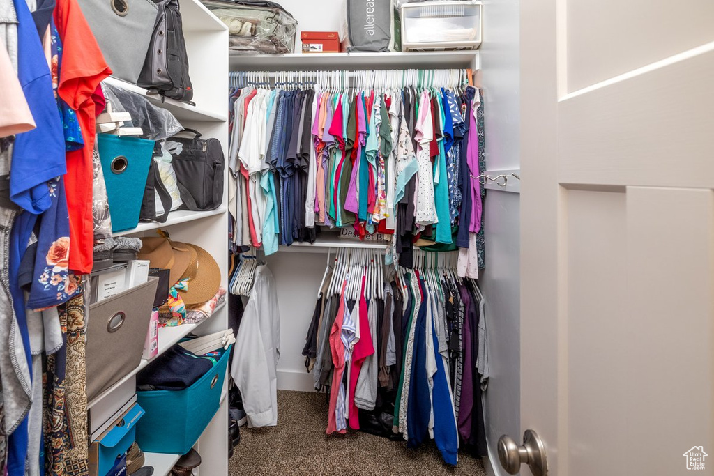 Walk in closet featuring dark colored carpet