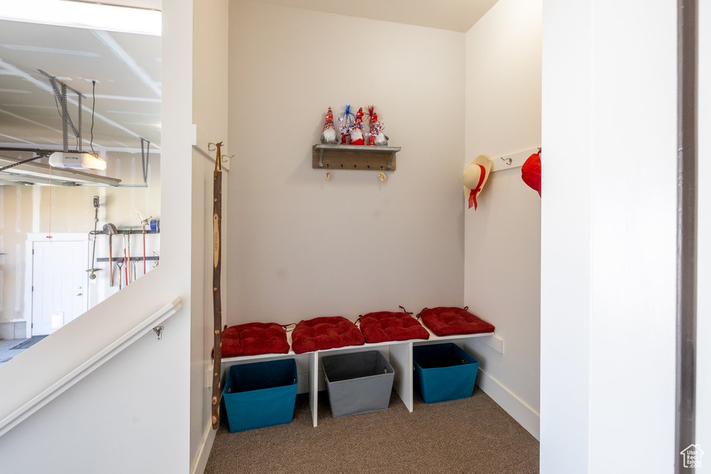 Mudroom with carpet flooring