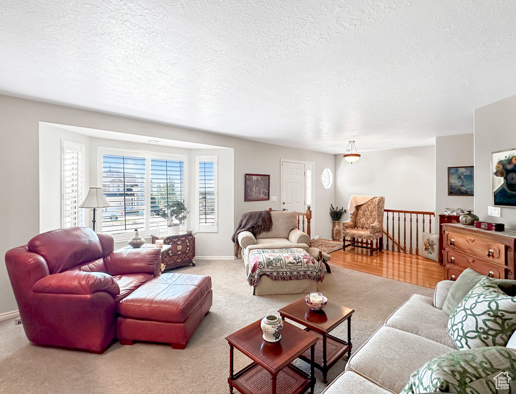 Carpeted living room featuring a textured ceiling