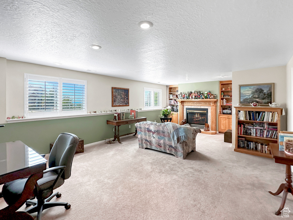 Carpeted living room featuring a textured ceiling and a wealth of natural light