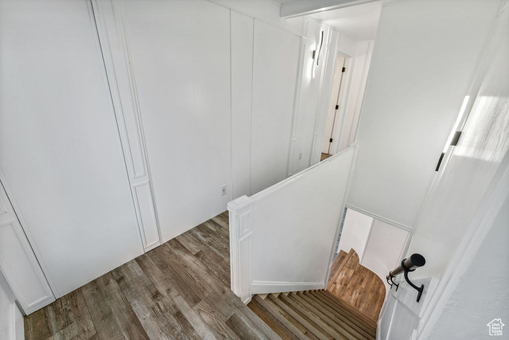 Stairs with hardwood / wood-style floors