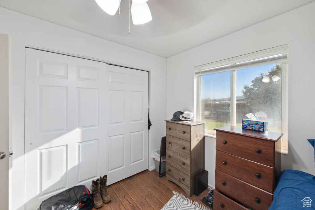 Bedroom featuring ceiling fan, a closet, and dark hardwood / wood-style floors