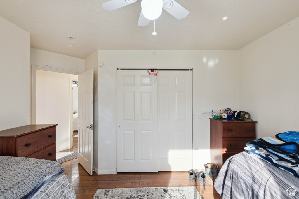 Bedroom featuring ceiling fan, a closet, and dark hardwood / wood-style floors