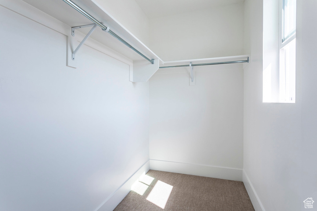 Spacious closet with carpet