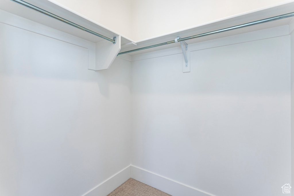 Spacious closet featuring carpet floors