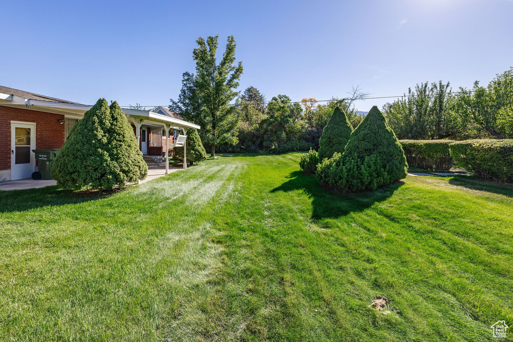 View of yard featuring a patio area