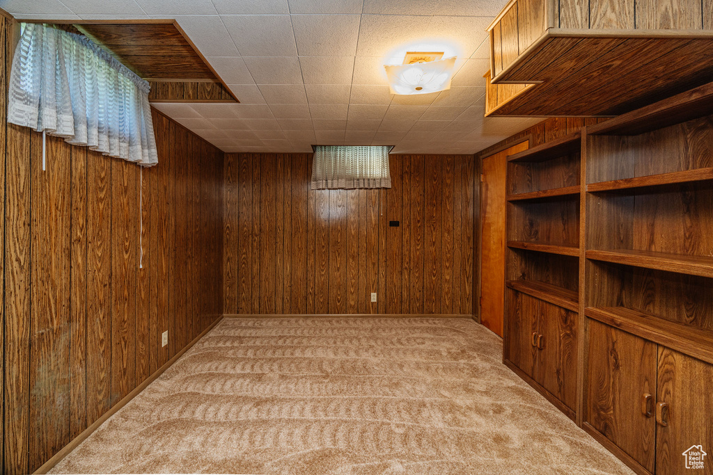 Basement with wood walls and light colored carpet