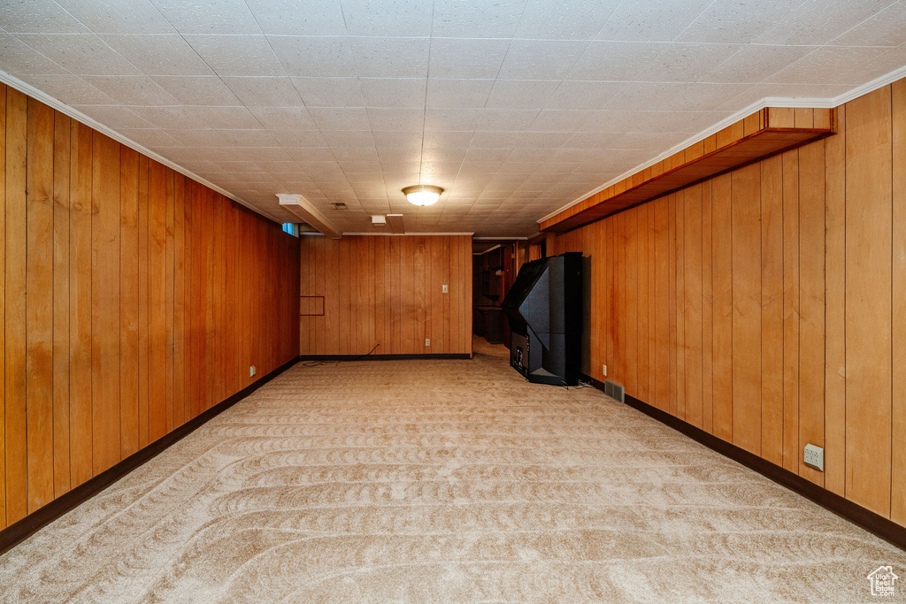 Carpeted spare room with wooden walls