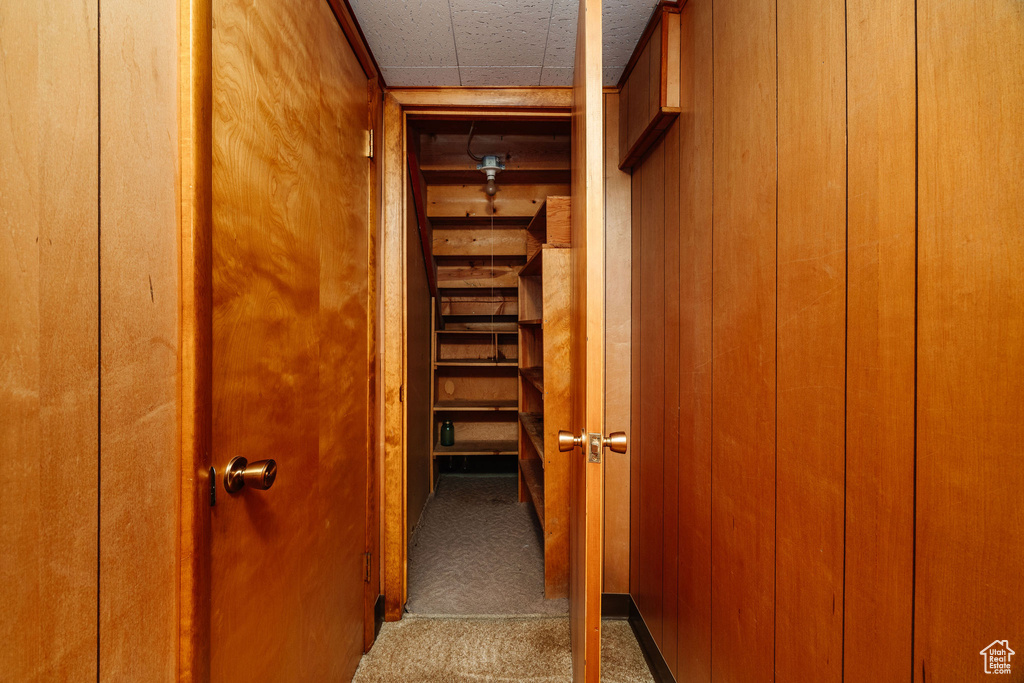 Hallway featuring wooden walls and carpet floors