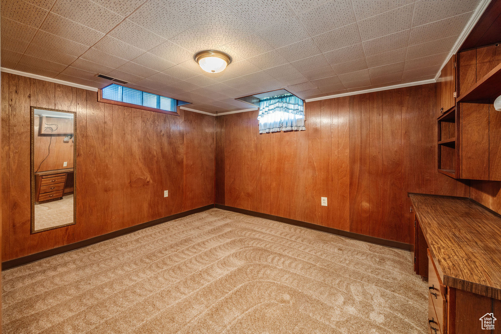 Basement with light colored carpet and wood walls