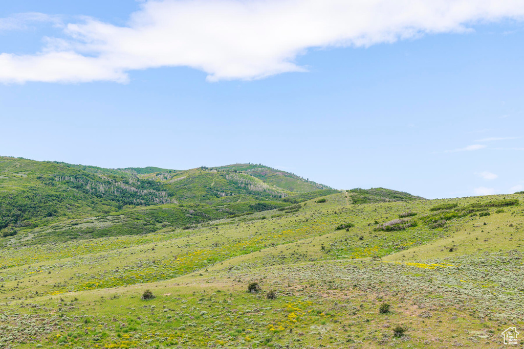 Property view of mountains