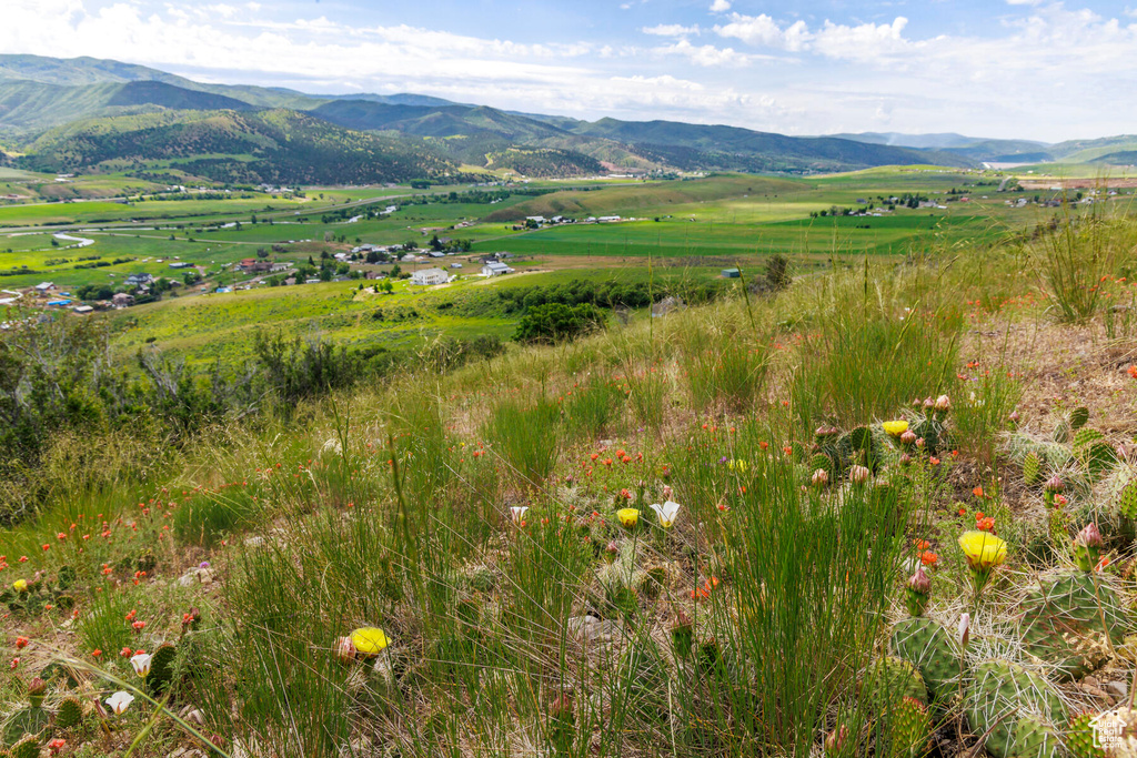 Mountain view featuring a rural view