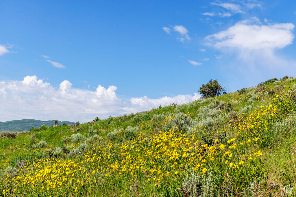 View of local wilderness featuring a mountain view