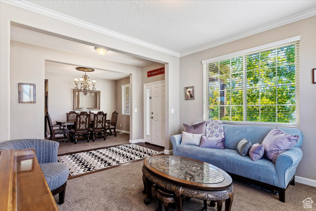 Carpeted living room featuring a chandelier, a textured ceiling, and crown molding