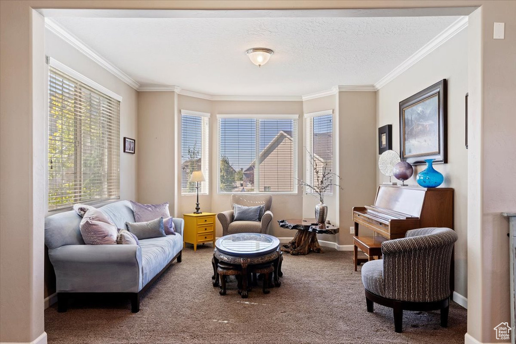 Living area featuring a textured ceiling, carpet, and ornamental molding