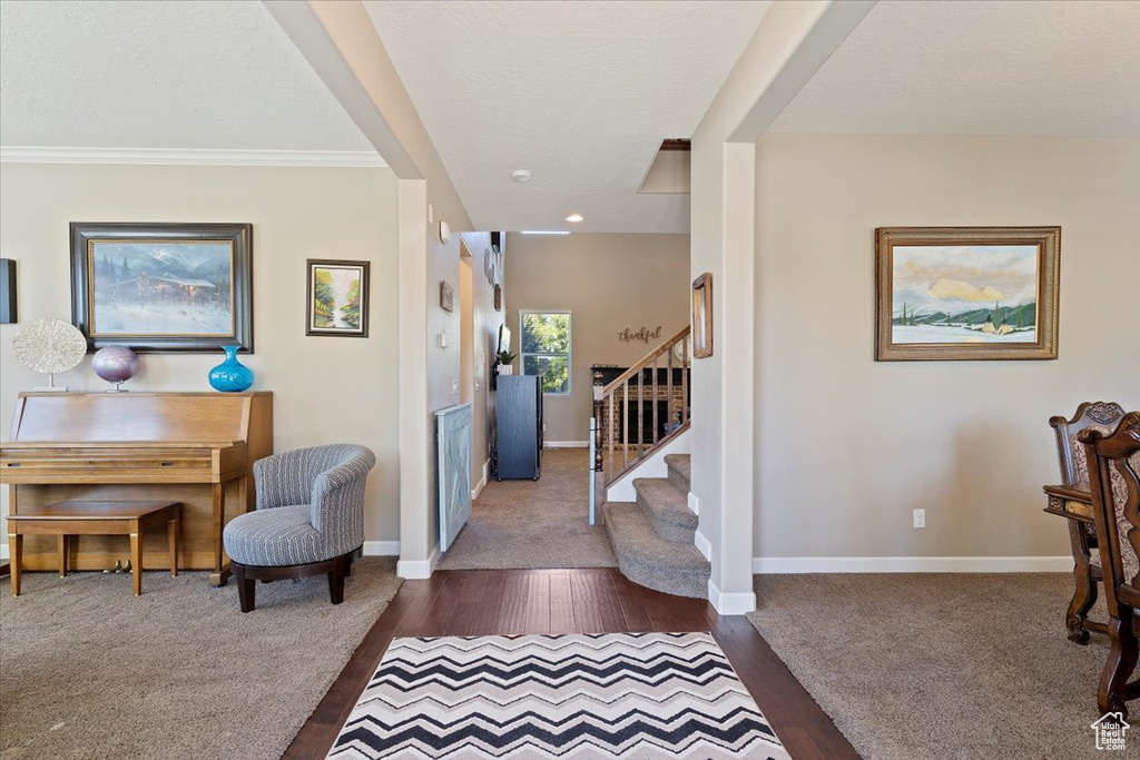 Foyer entrance featuring ornamental molding and dark wood-type flooring