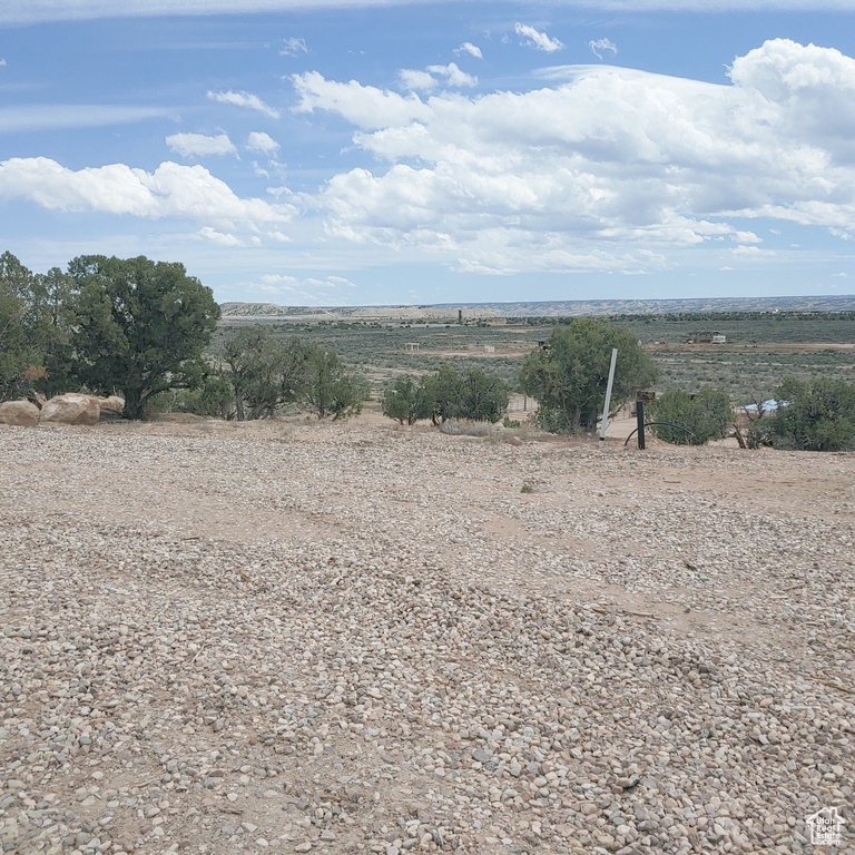 View of local wilderness featuring a rural view