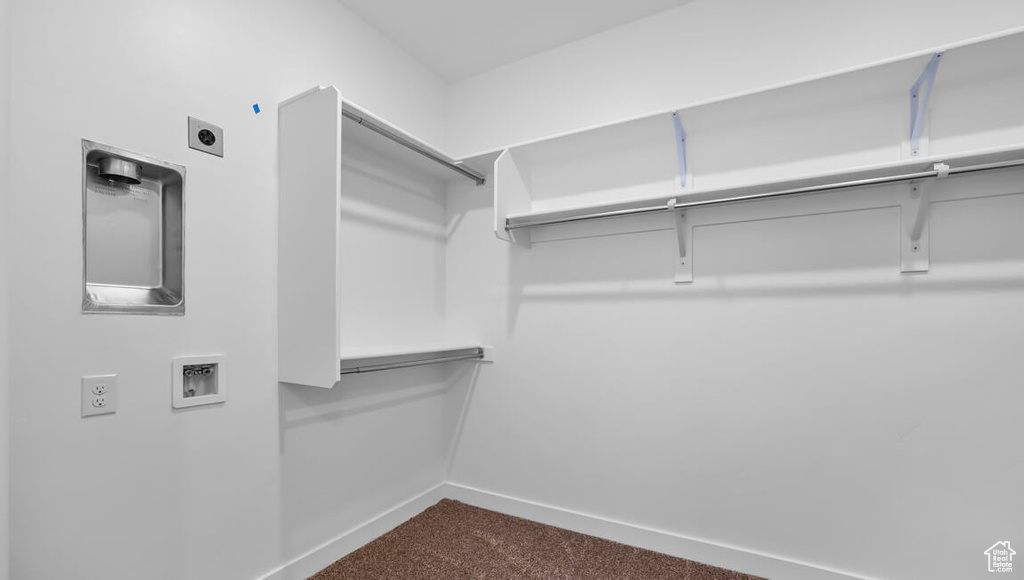 Walk in closet featuring carpet floors