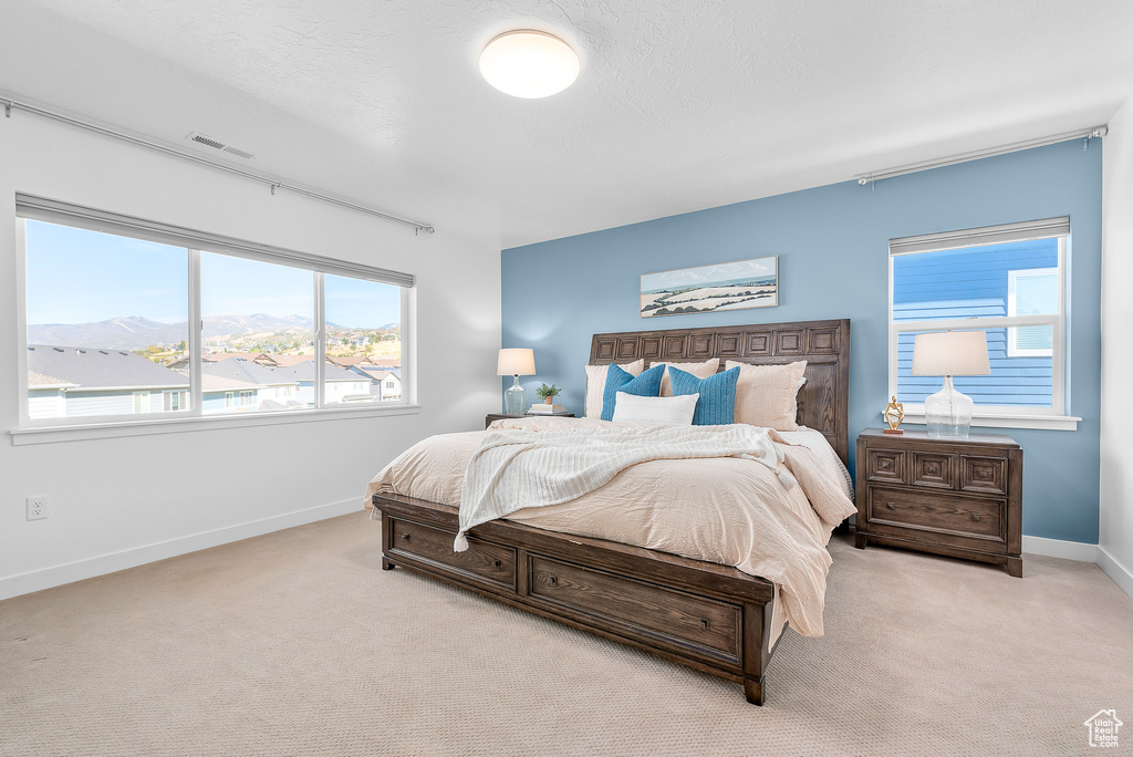 Carpeted bedroom featuring a mountain view