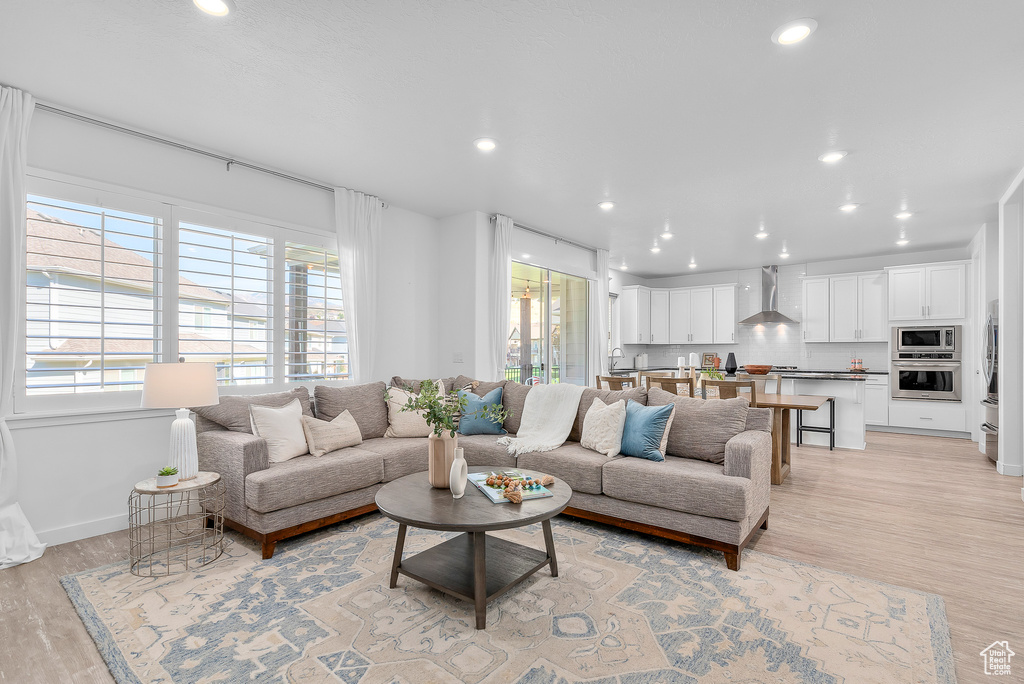 Living room with light hardwood / wood-style floors and a healthy amount of sunlight