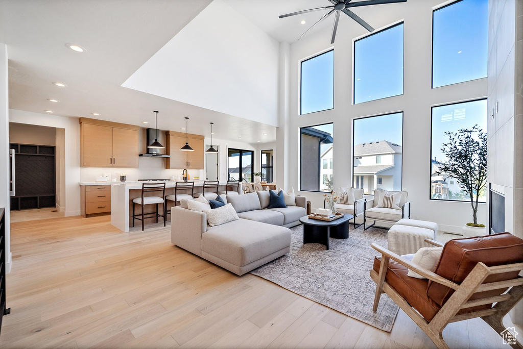 Living room featuring light hardwood / wood-style flooring, a wealth of natural light, and a high ceiling