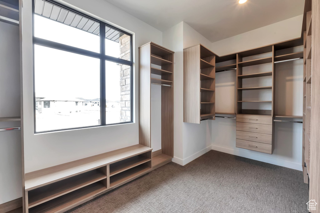 Walk in closet with dark colored carpet