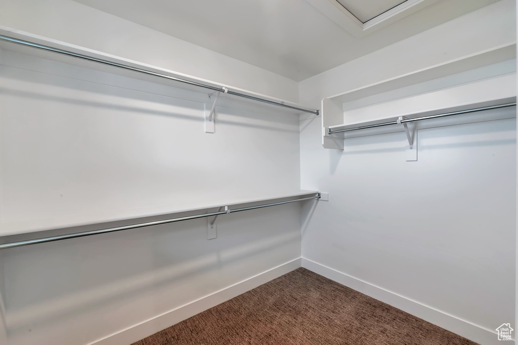 Walk in closet with carpet