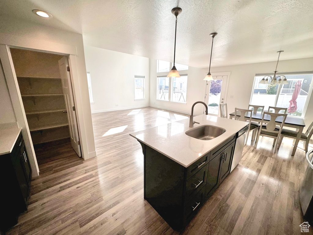 Kitchen featuring light hardwood / wood-style floors, a kitchen island with sink, sink, and pendant lighting