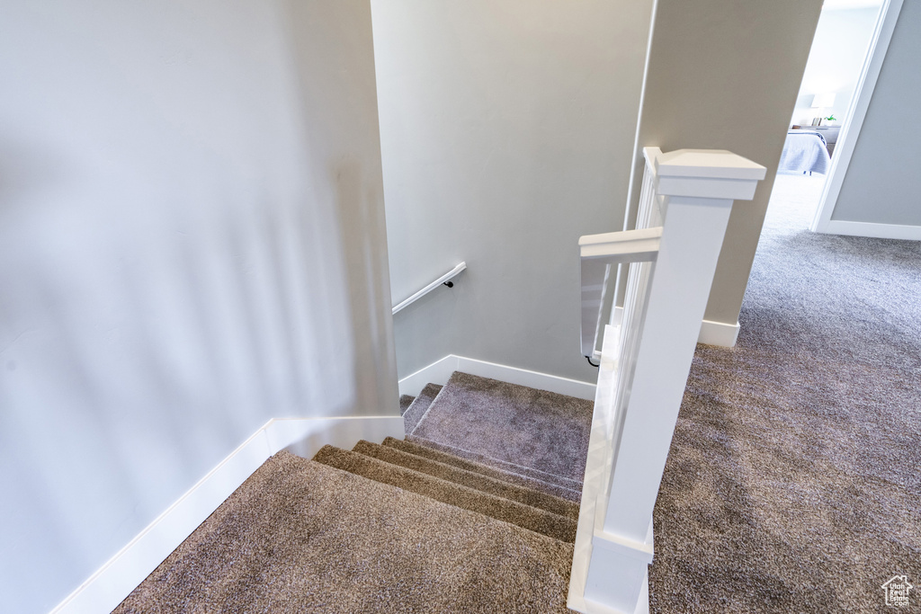 Stairs with carpet flooring