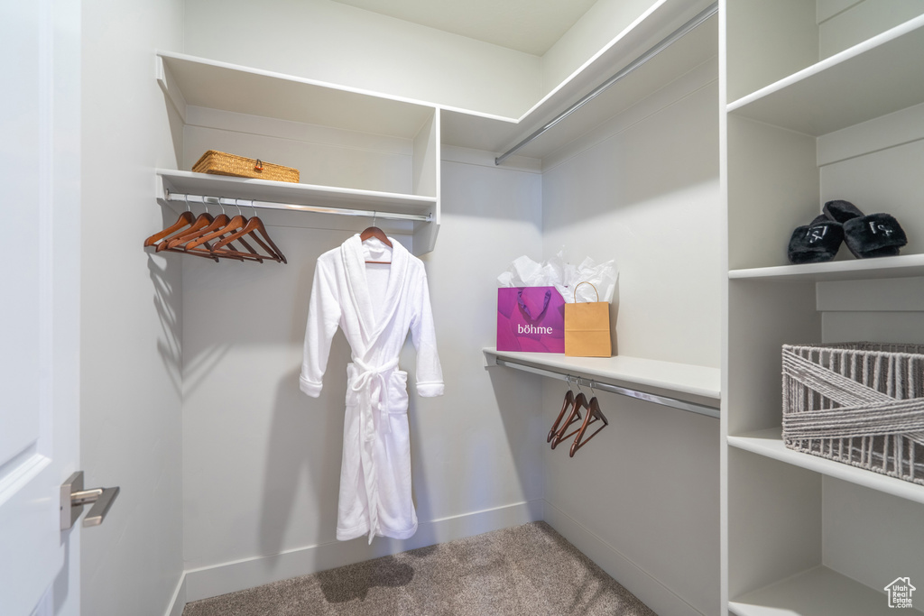 Walk in closet with carpet floors