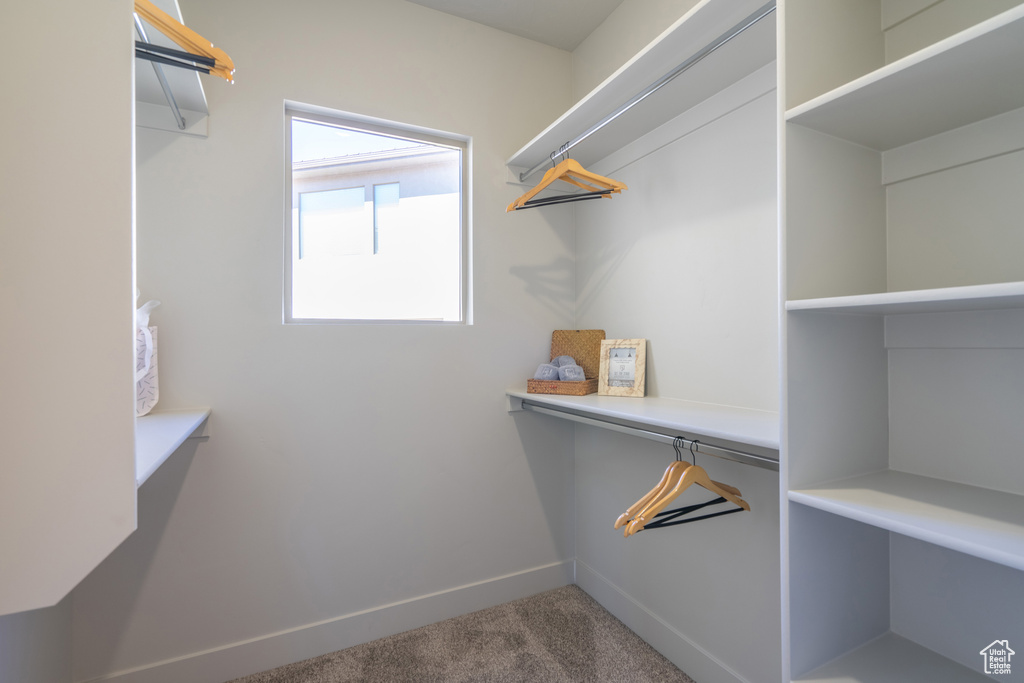 Walk in closet featuring carpet flooring