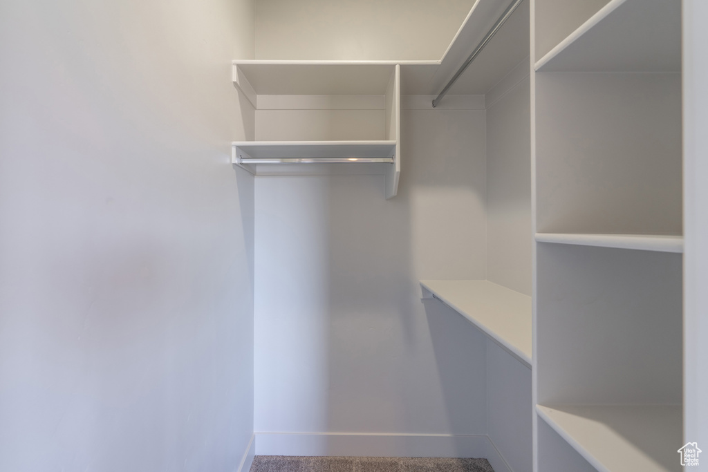Spacious closet featuring carpet
