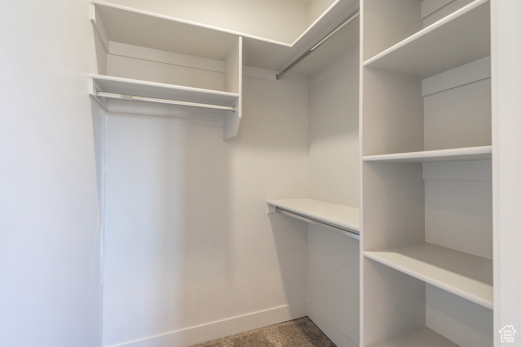 Walk in closet with carpet