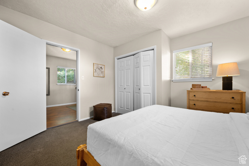 Carpeted bedroom with a closet and a textured ceiling