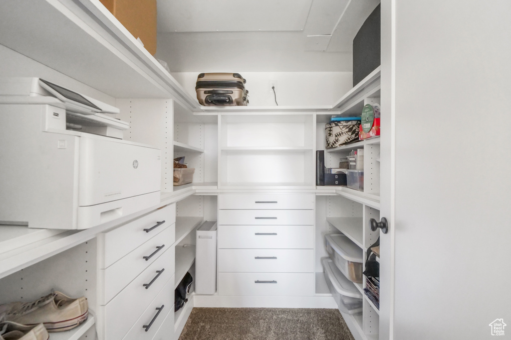 Spacious closet featuring dark carpet