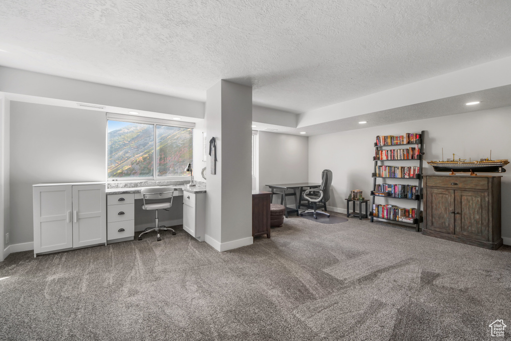 Unfurnished office with carpet and a textured ceiling