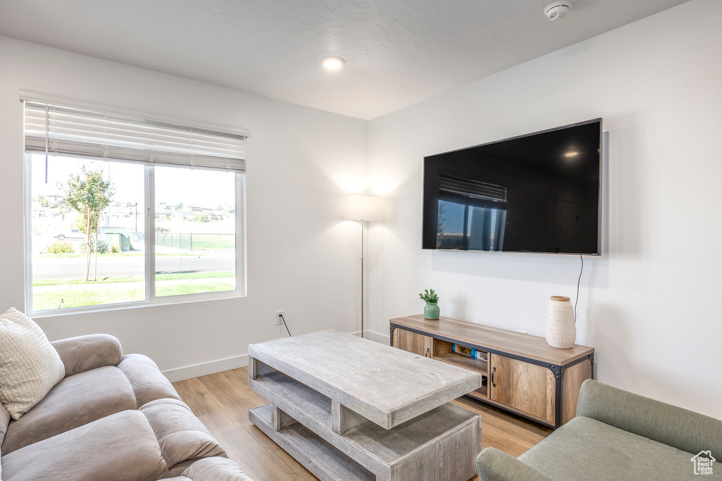 Living room featuring light hardwood / wood-style flooring