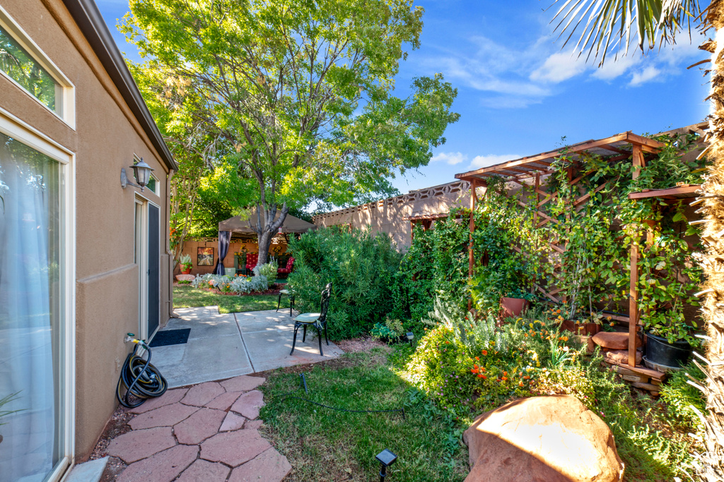 View of yard featuring a patio area